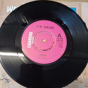 FR DAVID - 7 Single Vinyl Words / When The Sun Goes Down